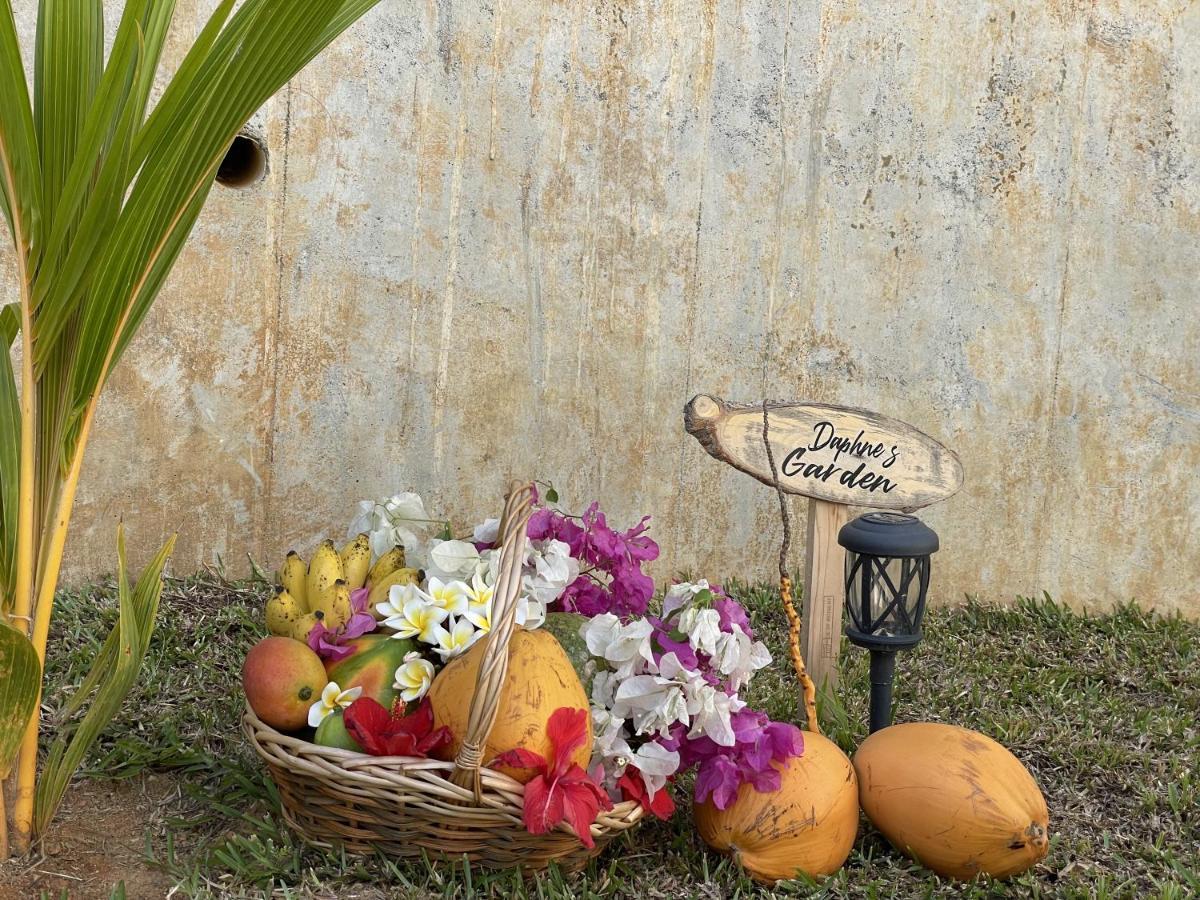B Holiday Apartments Beau Vallon  Esterno foto
